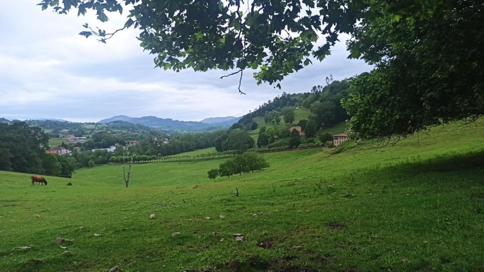 Casa Rural La Collada Sorribas  Εξωτερικό φωτογραφία